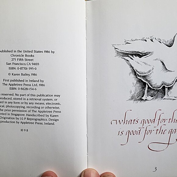 Sweet Vintage Collection of Little Irish Books: Toasts, Proverbs, Wit and More - Picture 14 of 15